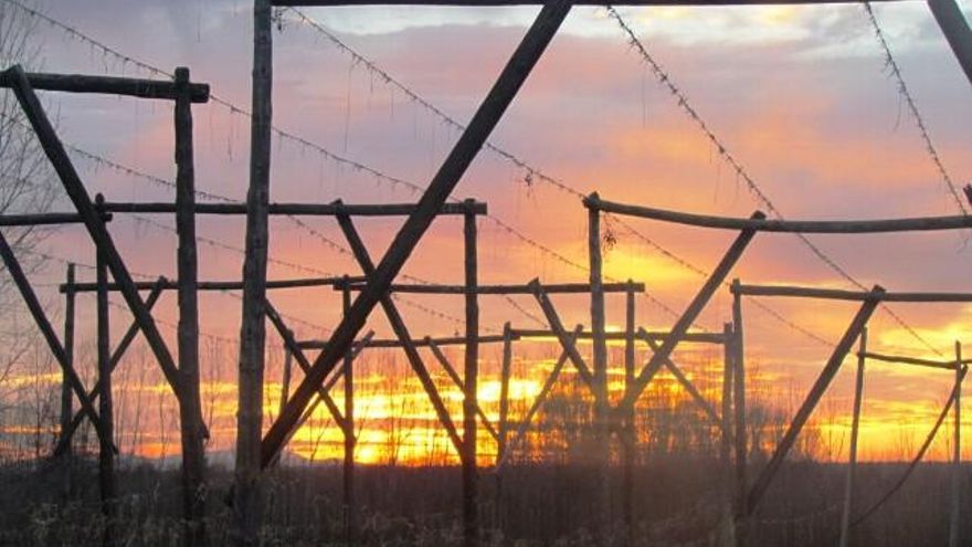 Naturaleza viva en el municipio de Cimanes del Tejar