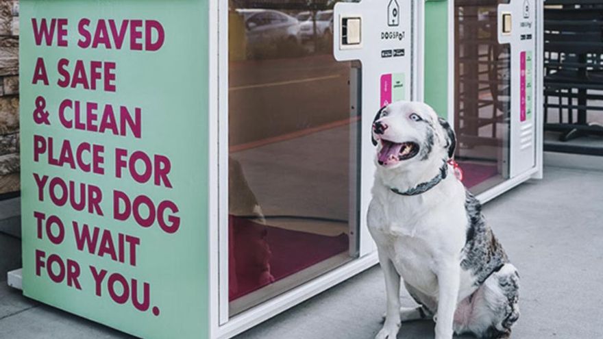 Las casetas para perros llegan a supermercados alemanes para evitar una práctica que en España puede acarrear fuertes multas