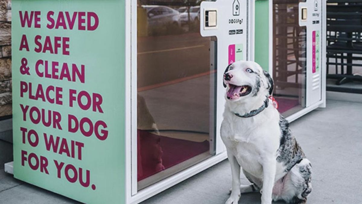Las casetas para perros llegan a supermercados alemanes para evitar una práctica que en España puede acarrear fuertes multas