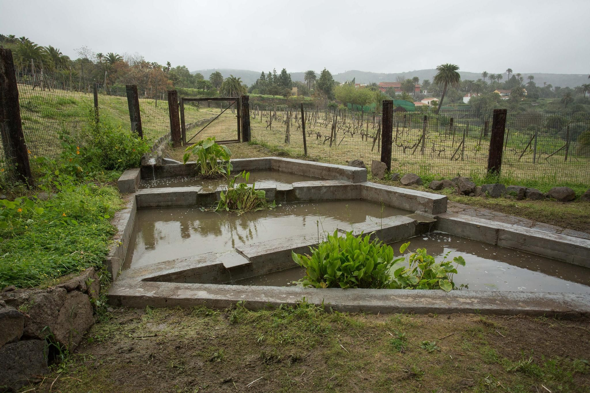 Recorrido institucional por el Barranco del Guiniguada en el Día Mundial del Agua.