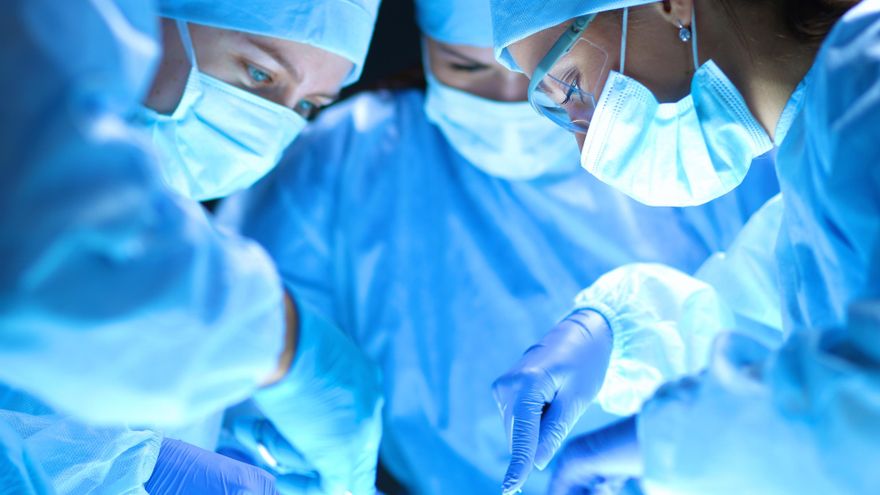 Día Internacional del Trasplante de Órganos y Tejidos: ¿por qué se celebra el 27 de febrero?