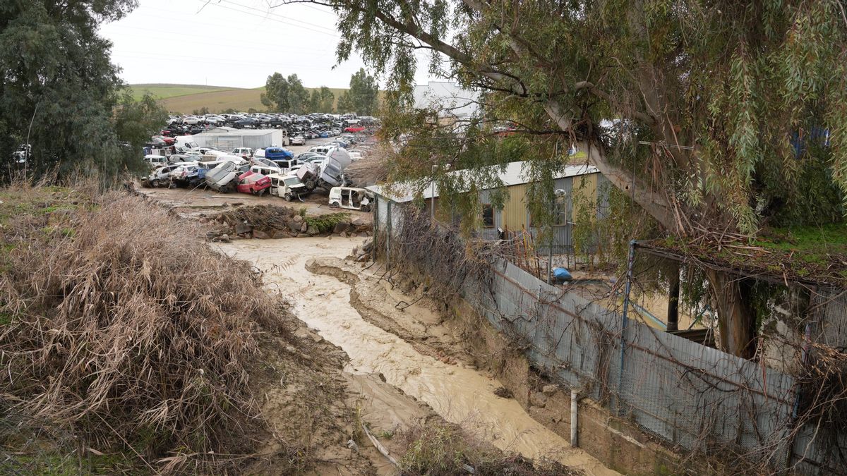 El desguace de la carretera de Granada, inundado por la crecida del Guadalquivir
