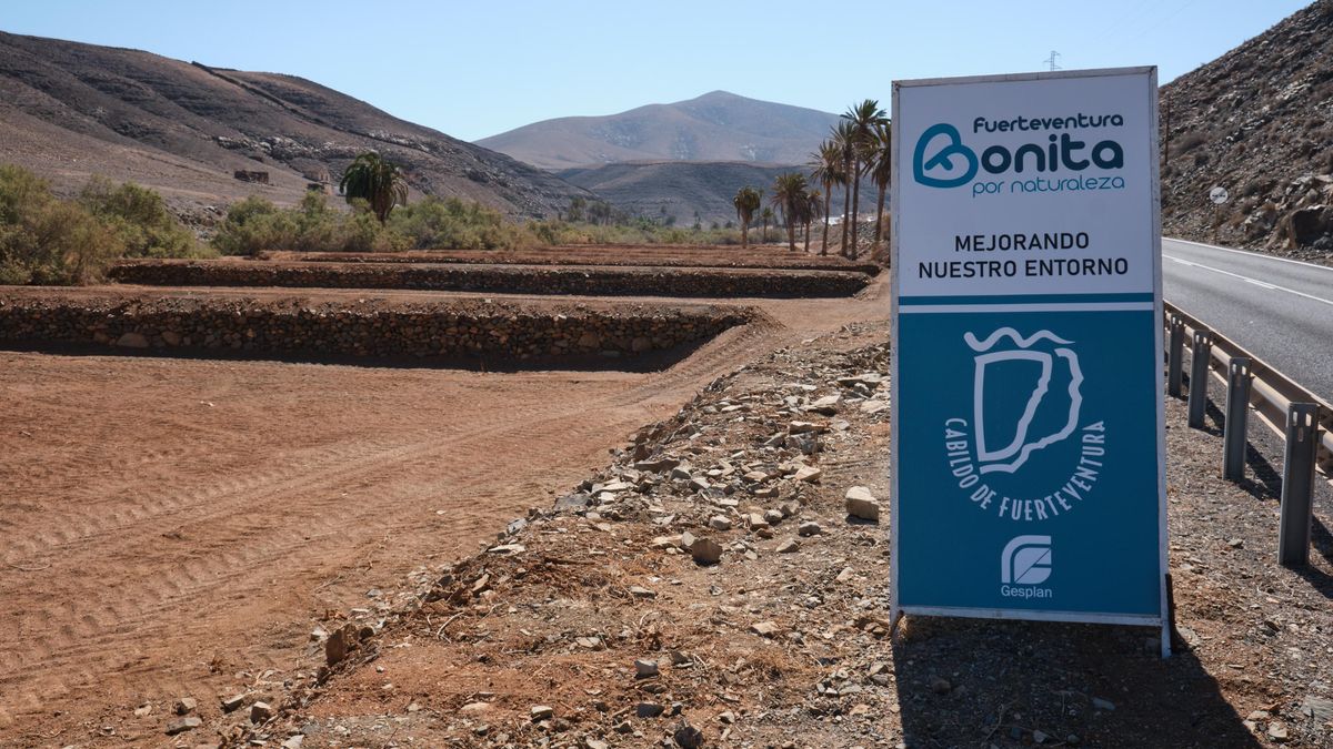 Campaña del Cabildo de Fuerteventura en la finca de Ajuy, Pájara.