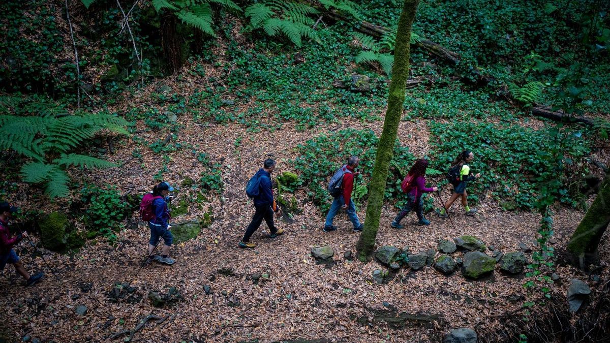 Participantes en el VII Encuentro Insular de Senderismo de La Palma.