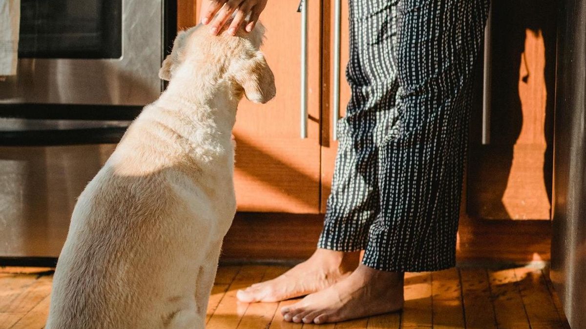 Qué es mejor para caminar por casa en verano, ¿zapatillas, chanclas o descalzos?