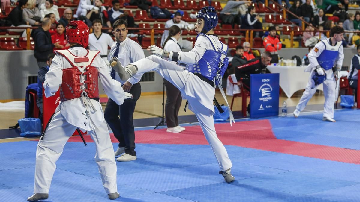 Open internacional de Andalucía de Taekwondo y Copa Iberdrola
