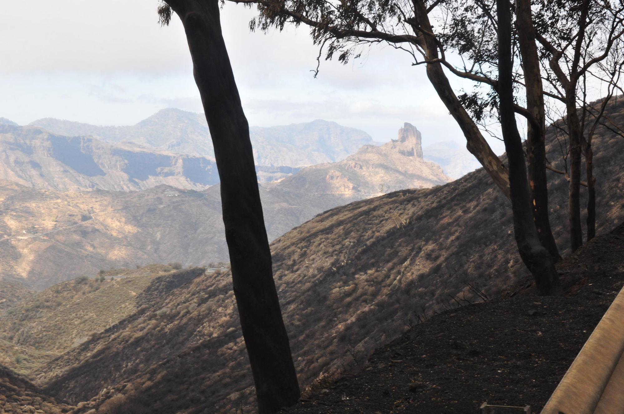 Efectos del incendio en la Cruz de Tejeda. (ÁNGEL SARMIENTO)