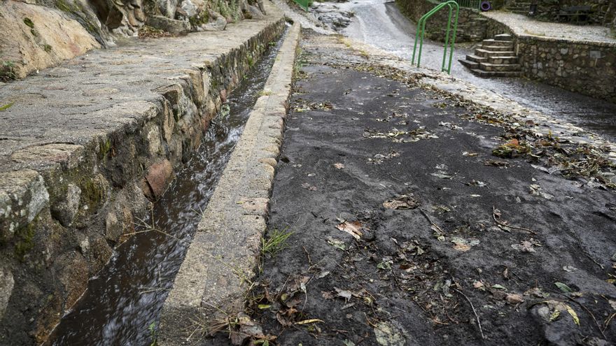 Ash from summer fires in northern Extremadura is polluting rivers and affecting drinking water