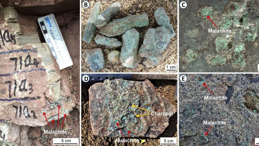 Minerales ricos en cobre que indican una amplia actividad volcánica en la extinción masiva de finales del Pérmico en diferentes regiones del sur de China 