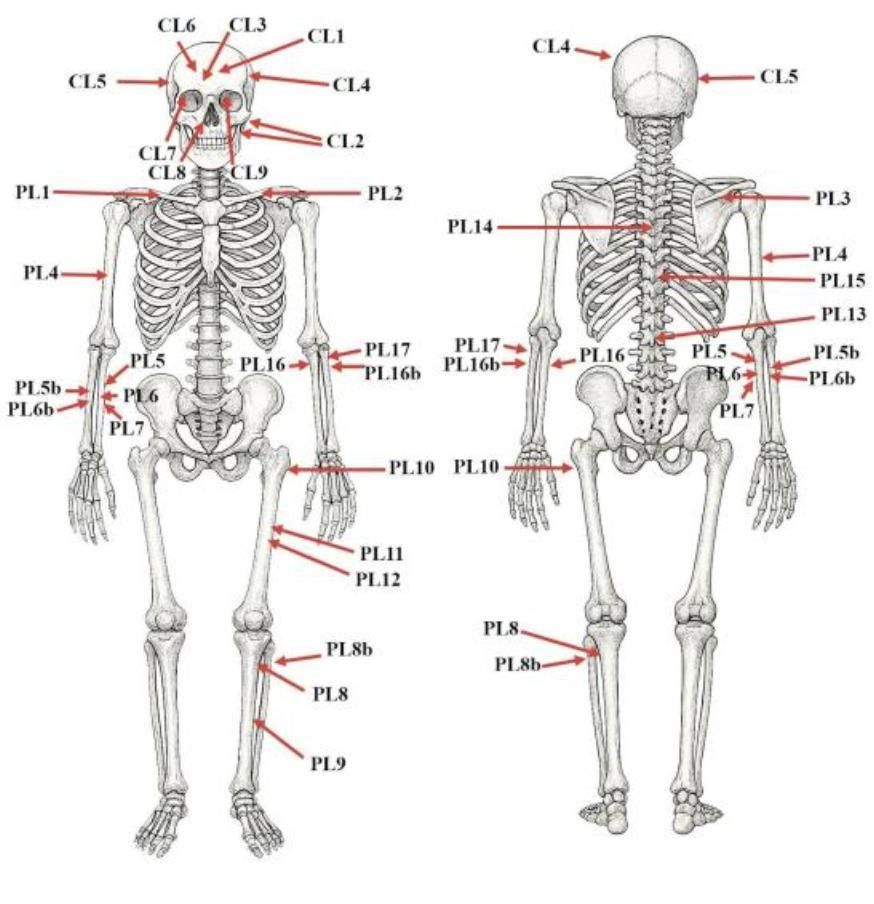 Los análisis forenses revelaron una ejecución meticulosa y sin piedad