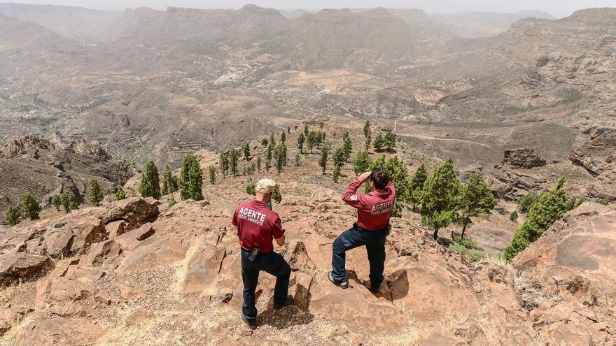 Gran Canaria declara la alerta por incendios forestales