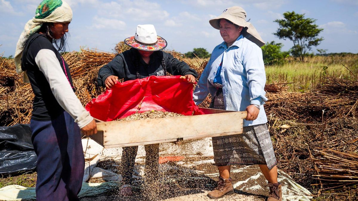 La lucha de las mujeres guatemaltecas por las tierras.