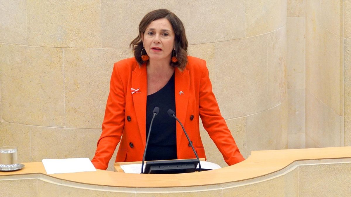 El PRC pide reforzar las Urgencias de Valdecilla y mejorar la gestión de ingresos para "evitar la saturación"