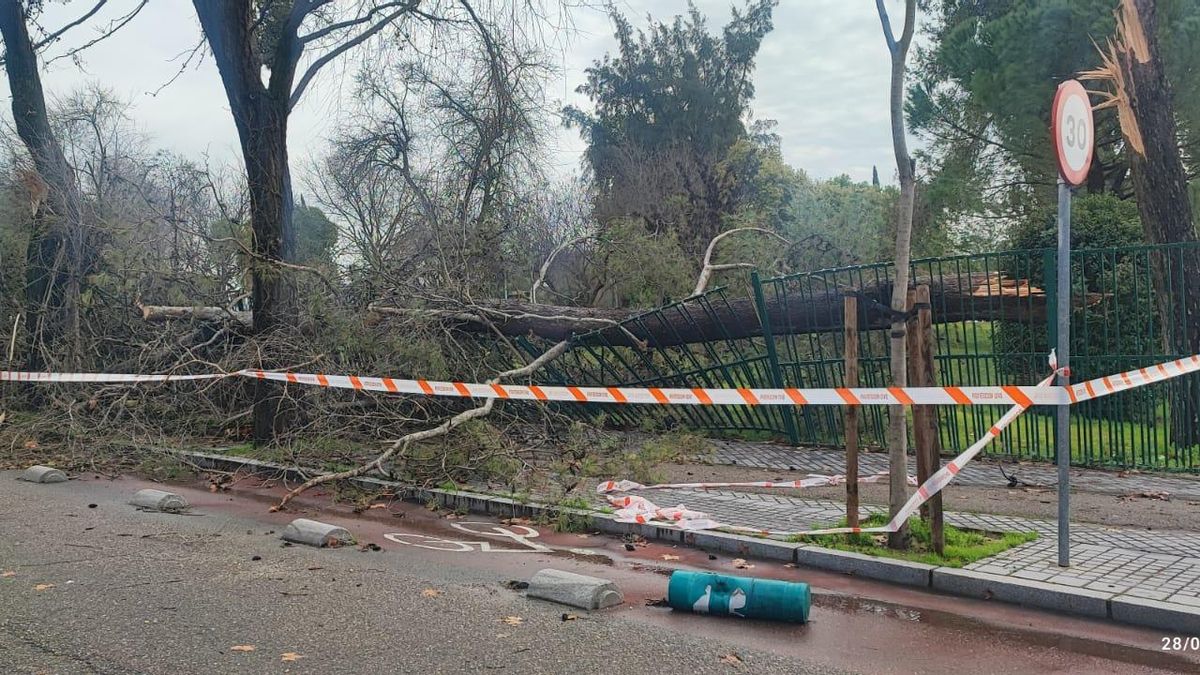 Corte de tráfico en la avenida Menéndez Pidal