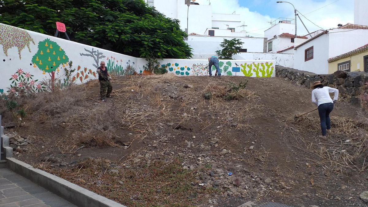 Los vecinos en las tareas de limpieza de la parcela.