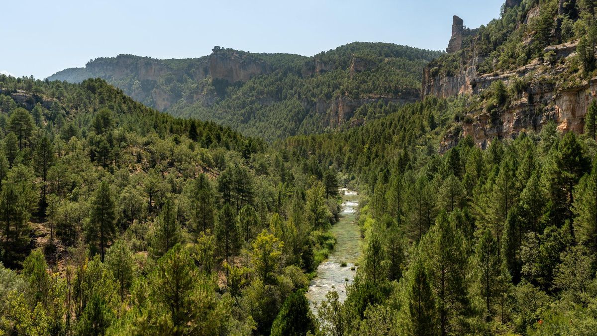 Parque Natural Alto Tajo (Molina de Aragón, Guadalajara)