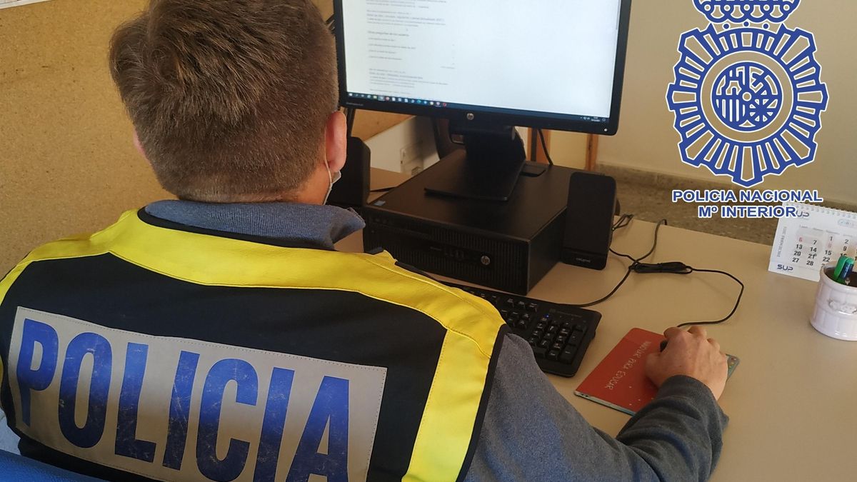 Un agente investiga ante un ordenador