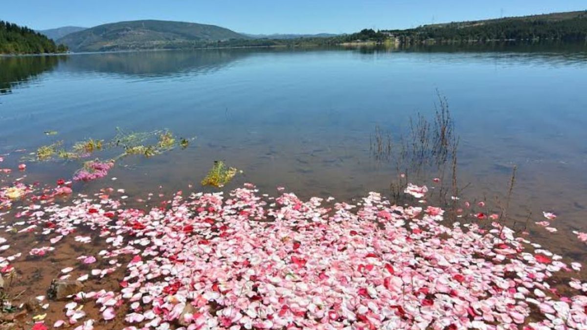 Licitan por 1,5 millones el puente colgante sobre el embalse de Bárcena, que será el peatonal más largo de España