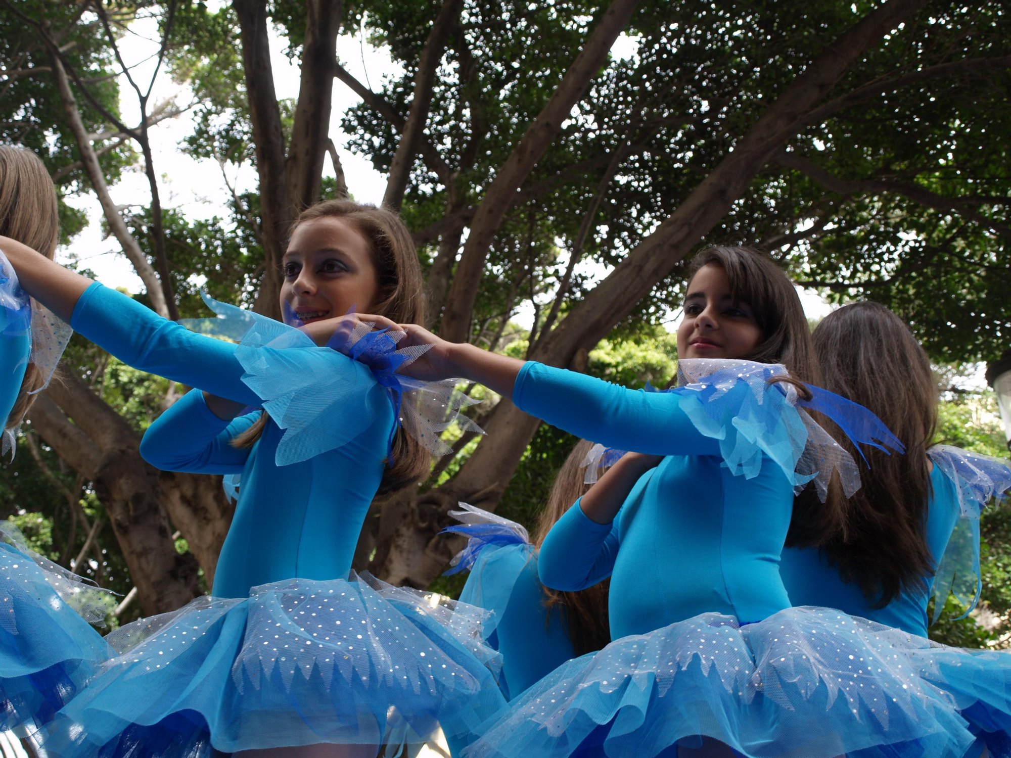 Bajada de la Virgen 2010. MVH