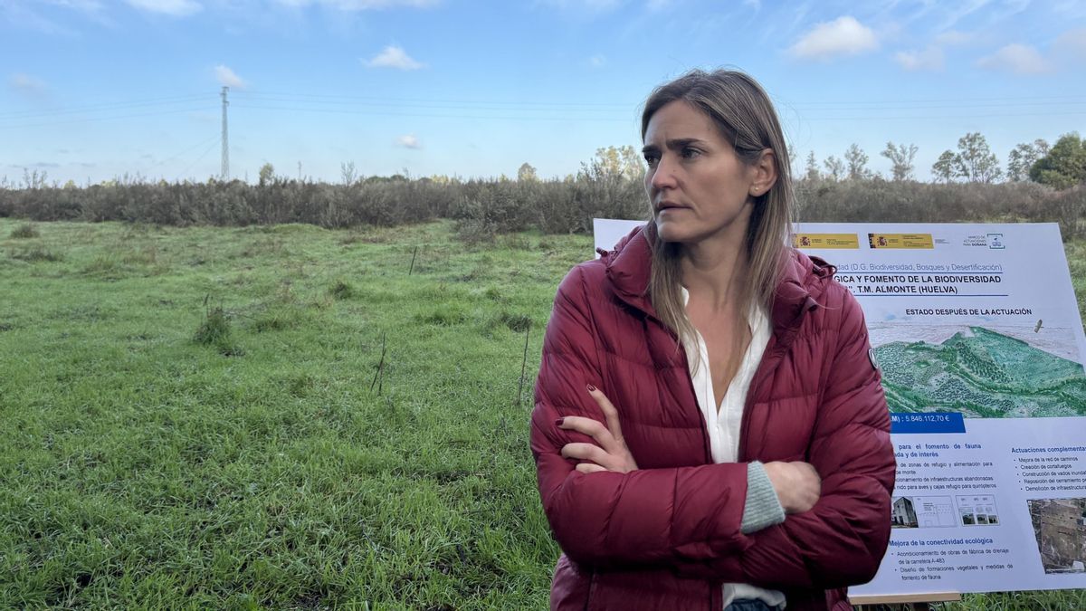 Las ayudas del Gobierno para que los agricultores del entorno de Doñana dejen de cultivar, a consulta pública