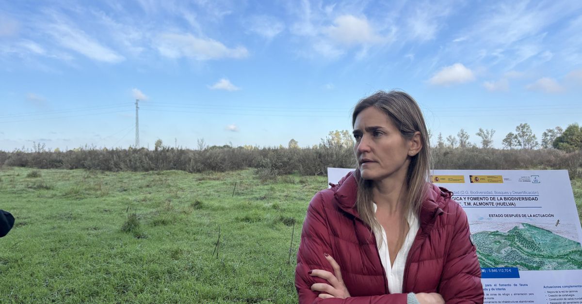 En marcha las ayudas del Gobierno para que los agricultores del entorno de Doñana dejen de cultivar
