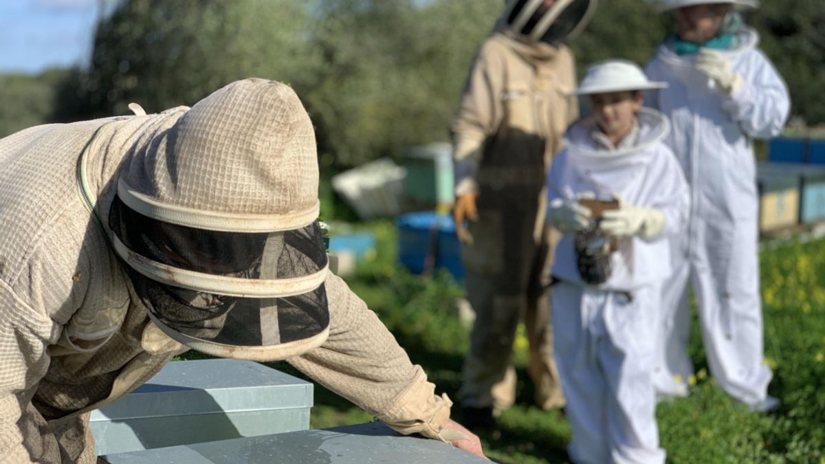 Apicultores en Menorca durante la gestión de colmenas, una actividad que conecta producción, biodiversidad y territorio