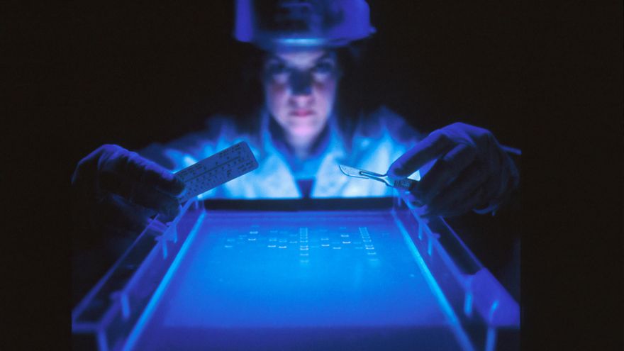 La mayor empresa de análisis genético ha quebrado: ¿qué pasa con mis datos si envié mi ADN a 23andMe?