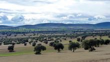 Campo de Montiel (Ciudad Real)