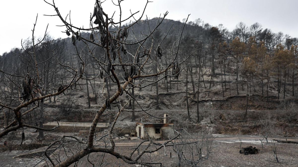 Controlado el incendio de la Vall d'Uixó (Castellón) tras quemar 9.568 hectáreas