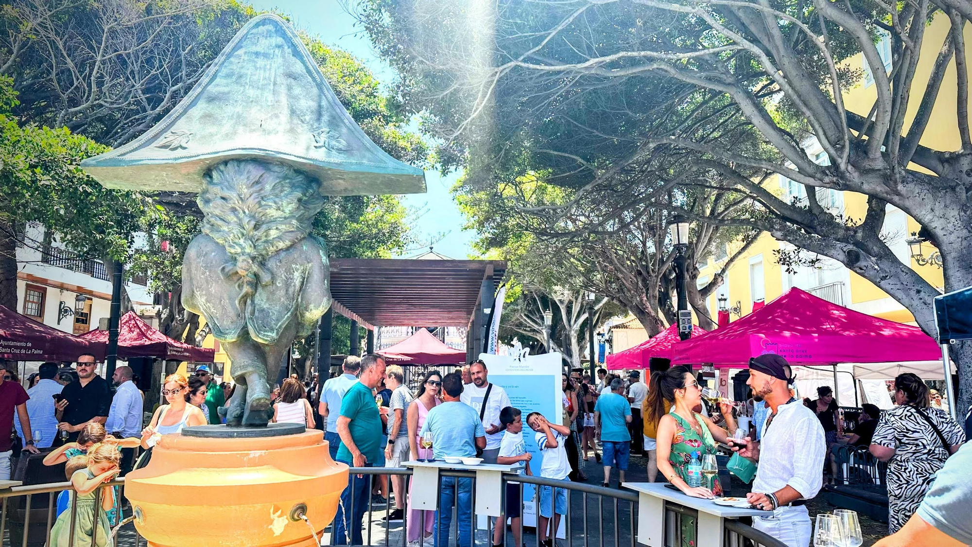 Santa Cruz de La Palma brinda con vinos palmeros por La Bajada.