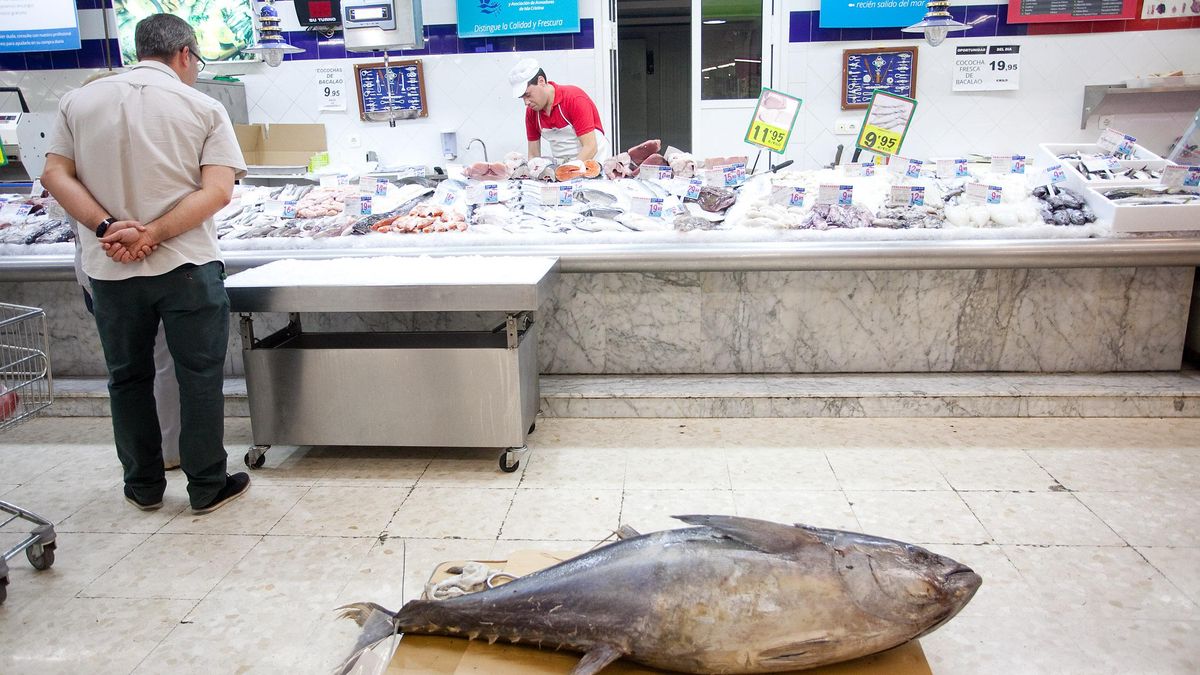 Ronqueo de atún en supermercados de barrio