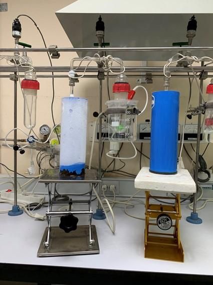 Línea de extracción criogénica al vacío para la extracción del agua del tallo y de los suelos.