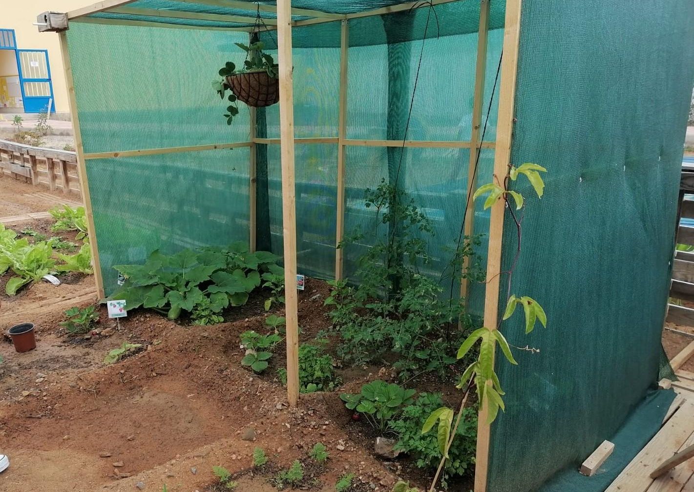 CEIP La Garita, Gran Canaria