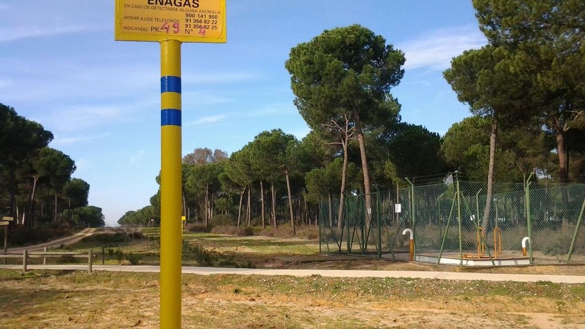 El Estado desestima la suspensión del proyecto de almacenamiento de gas en Doñana solicitada por Ecologistas