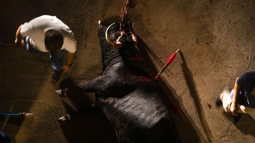 Mantillas, "viva España" y olor a puro: una horrenda noche de toros en Palma a la espera de los menores