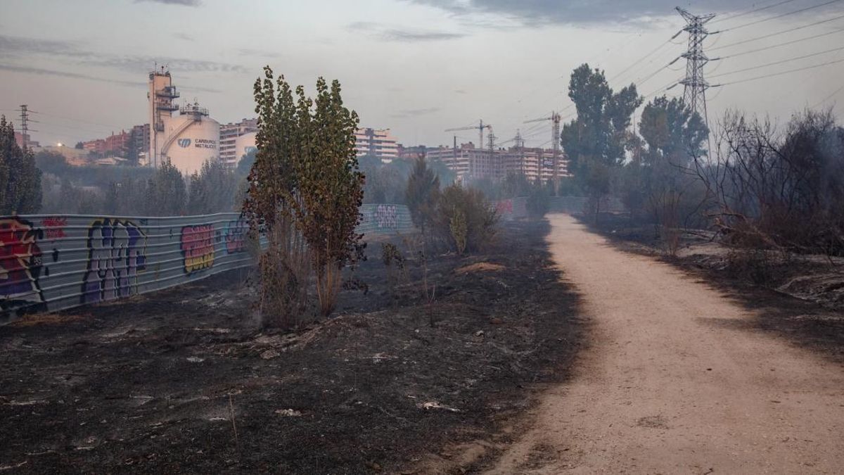 Un entorno arrasado por el fuego en el incendio de Tres Cantos (Madrid).