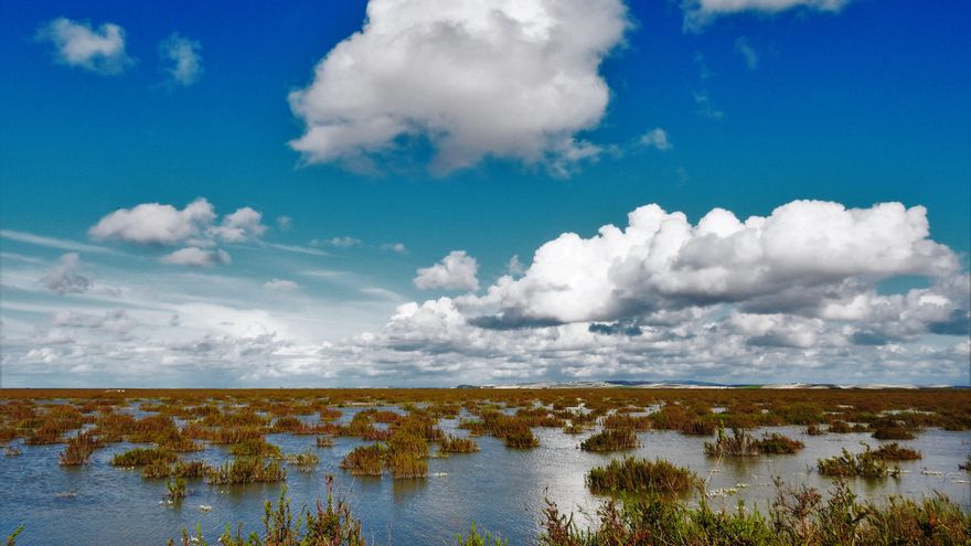 Un belga millonario, turismo  y “traidores”: la historia de la urbanización frente a Doñana autorizada por la Junta de Andalucía