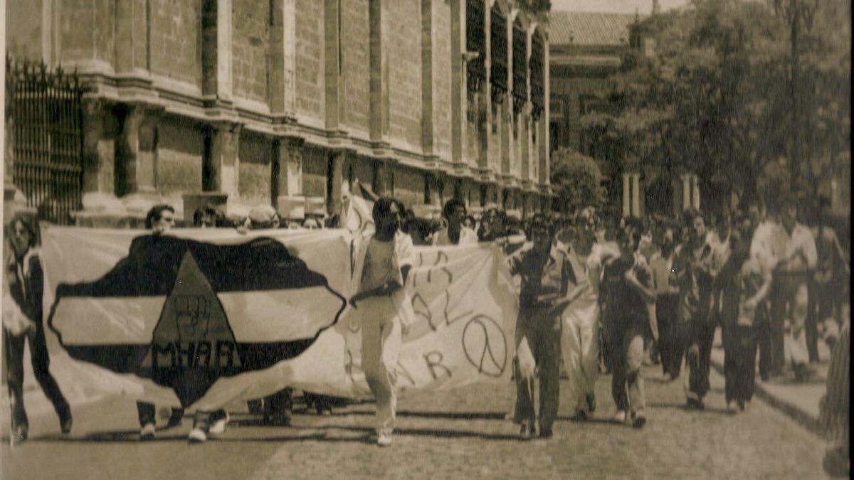 Imagen de archivo de una manifestación del MHAR, a los pies de la Catedral de Sevilla.
