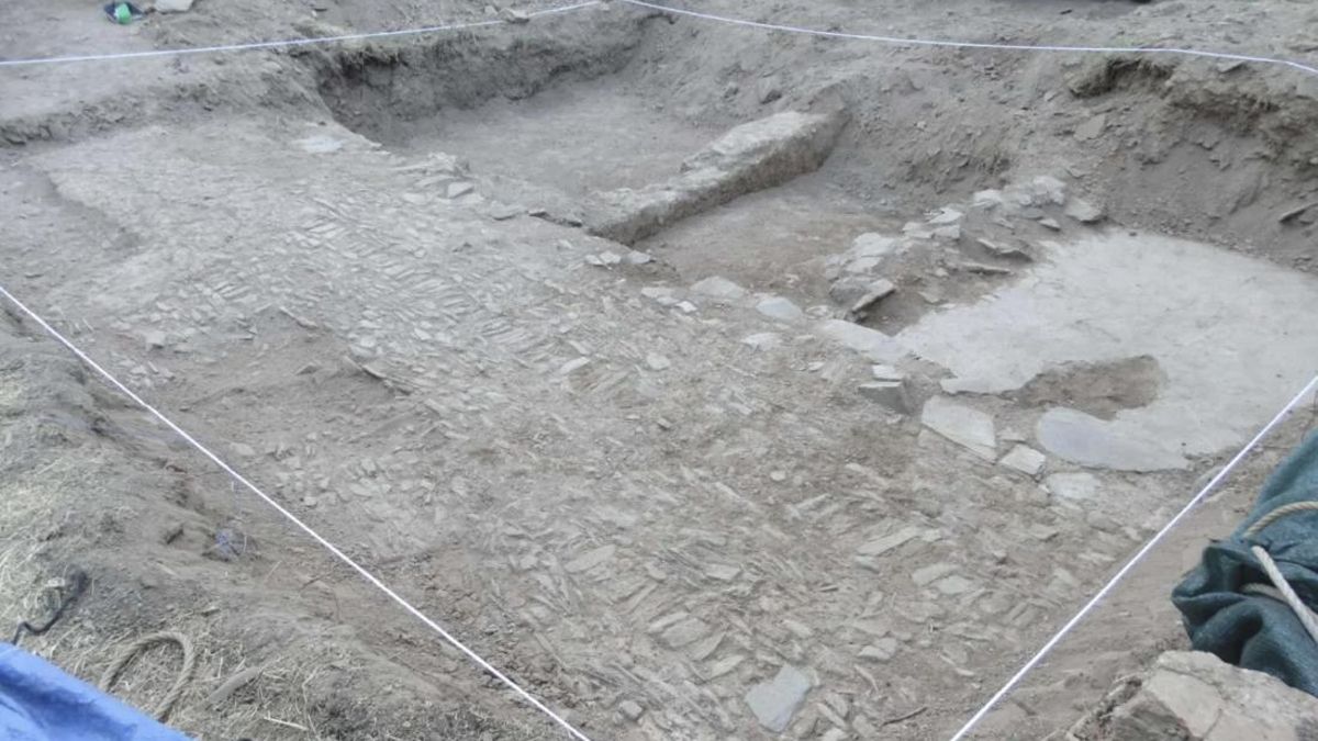 Numerosos especialistas ayudaron a delimitar la zona examinada