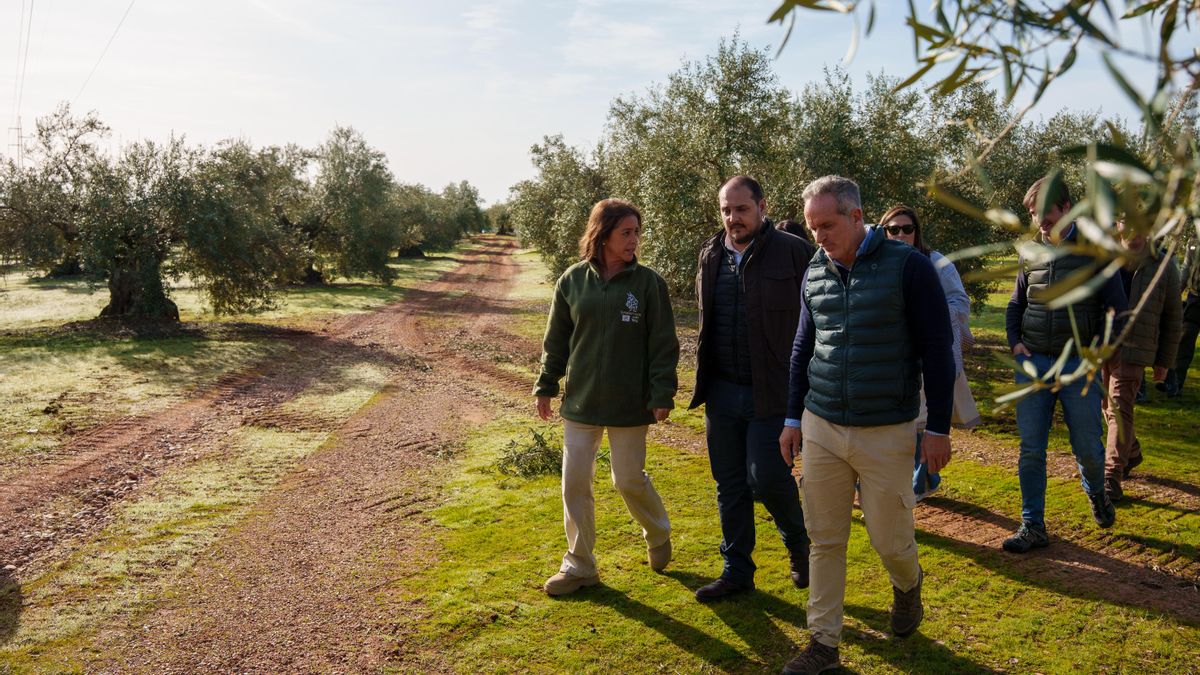 Zona de Adamuz donde se ha producido la suelta.