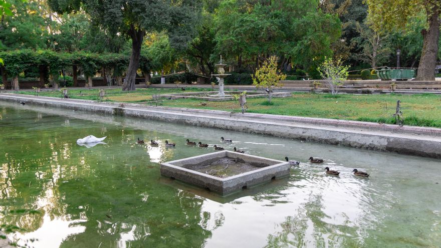 Sevilla cierra el parque de María Luisa tras la aparición de cinco patos muertos con posible gripe aviar