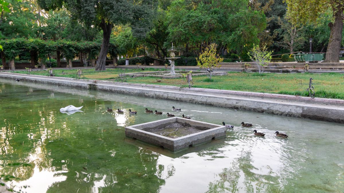 Sevilla cierra el parque de María Luisa tras la aparición de cinco patos muertos con posible gripe aviar