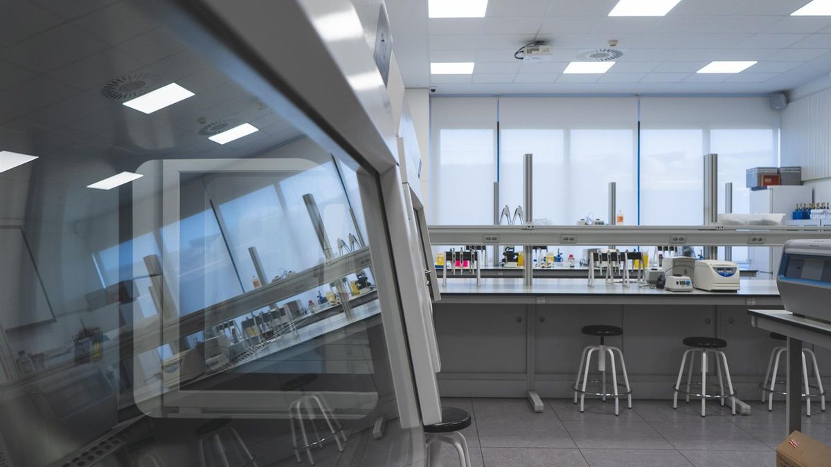 La Universidad Loyola incrementa en un 10% su producción científica y un 20,2% las de alta calidad