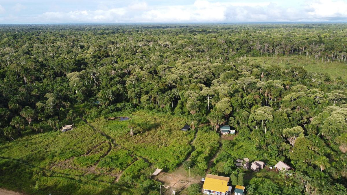 Los bosques del santuario Passiflora, Bolivia, y los alrededores son hogar del jaguar, especie en riesgo. Foto: cortesía Senda Verde