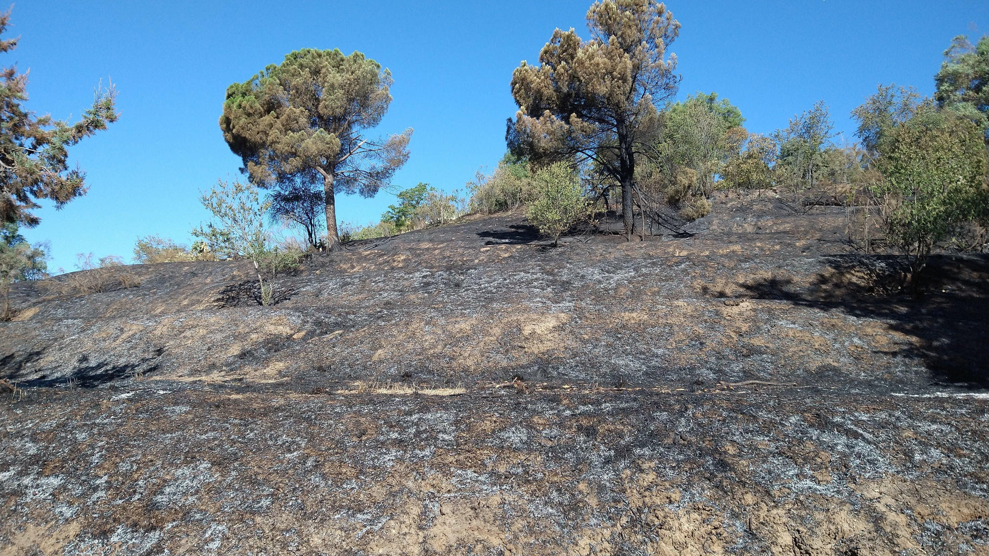 Incendio Dehesa de la Villa - terrazas incendiadas