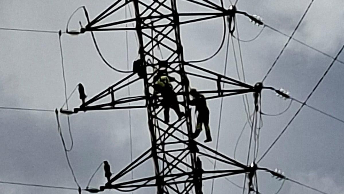 Endesa concluye las obras del cierre de un anillo eléctrico en La Matanza para mejorar el servicio a más de 1.500 clientes