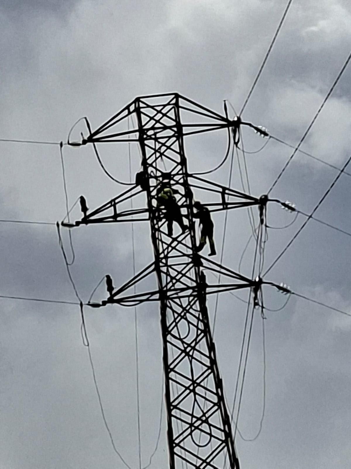 Operarios de edistribución arreglando el tendido eléctrico en La Matanza tras el impacto de la borrasca Therese.