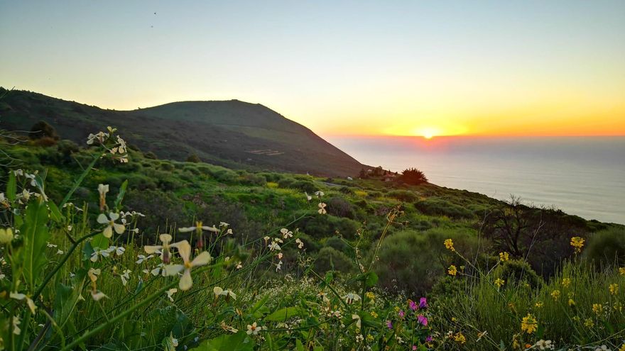 Garafía cede suelo público al Gobierno de Canarias para viviendas de afectados por el volcán