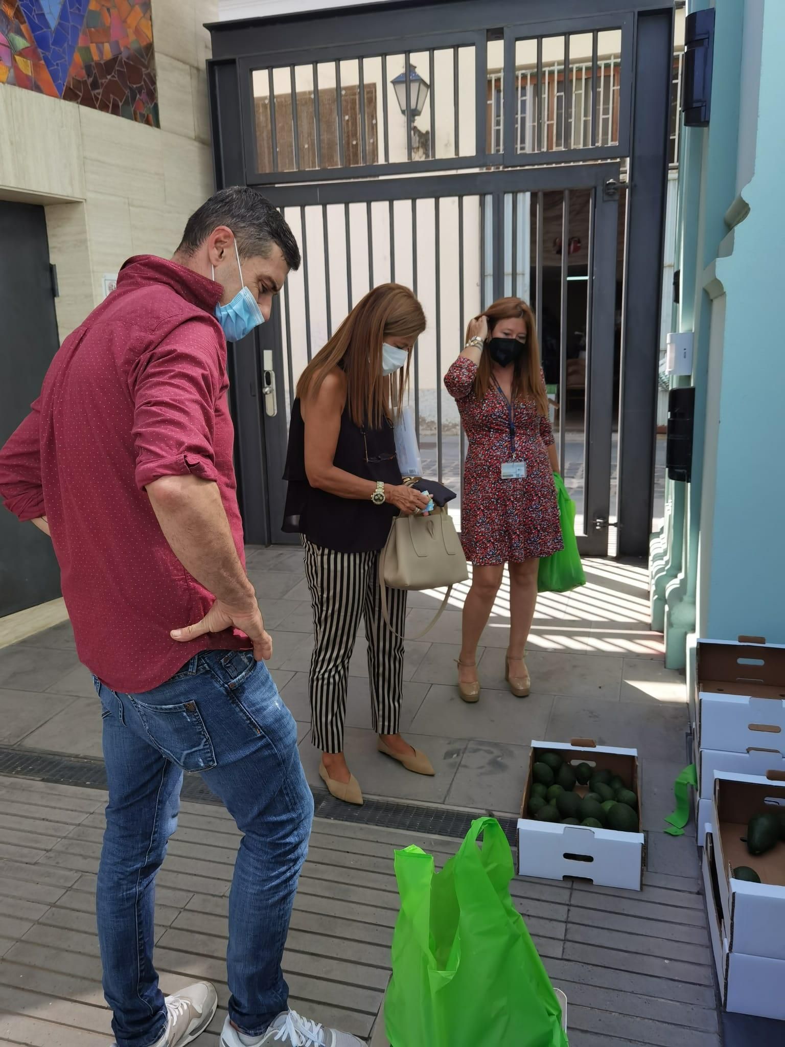 Venta de aguacates de La Palma en el Rectorado ULPGC