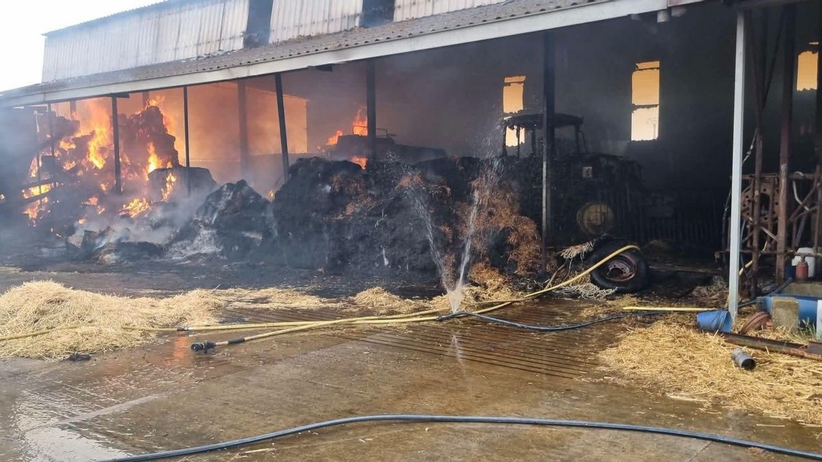 Un ganadero sufre quemaduras al intentar salvar su explotación del fuego en Zamora